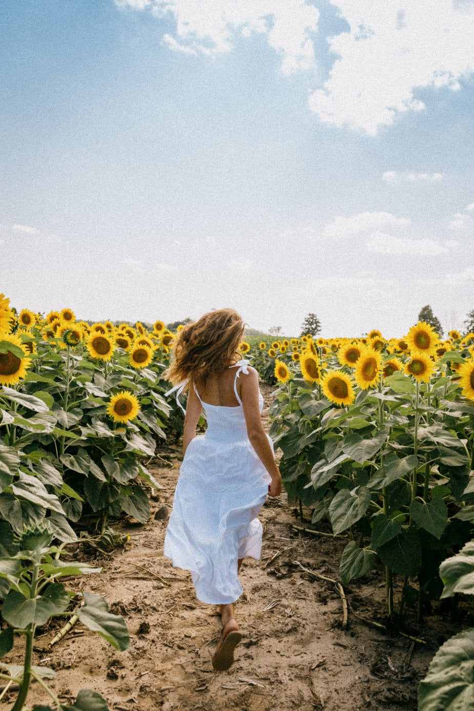 The Facial Maestro Skin Care Habits and Secrets for Summer Skin